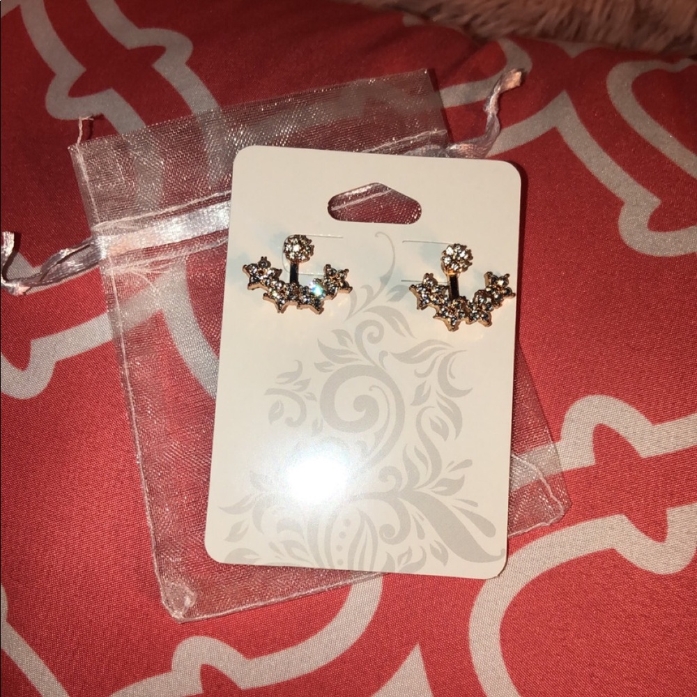 NWOT earrings